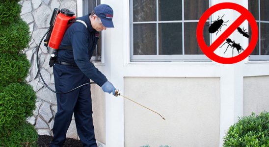 Adapazarı Dezenfeksiyon böcek ilaçlama ve haşere kontrolü — ilaclama-tr.com